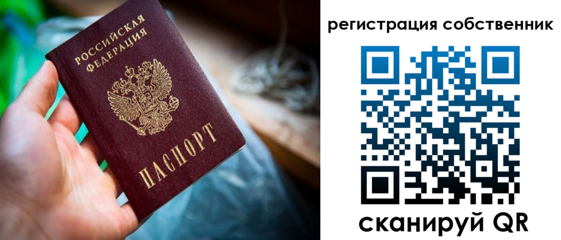 прописка гарантия в Заречном